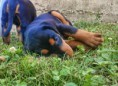 /album/fotogaleria%3a-vrh-f-%e2%99%a5/dsc-0836-2-jpg/