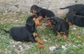 /album/fotogaleria%3a-vrh-f-%e2%99%a5/dsc-0853-2-2-jpg/