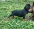 /album/fotogaleria%3a-vrh-f-%e2%99%a5/dsc-0878-4-jpg/